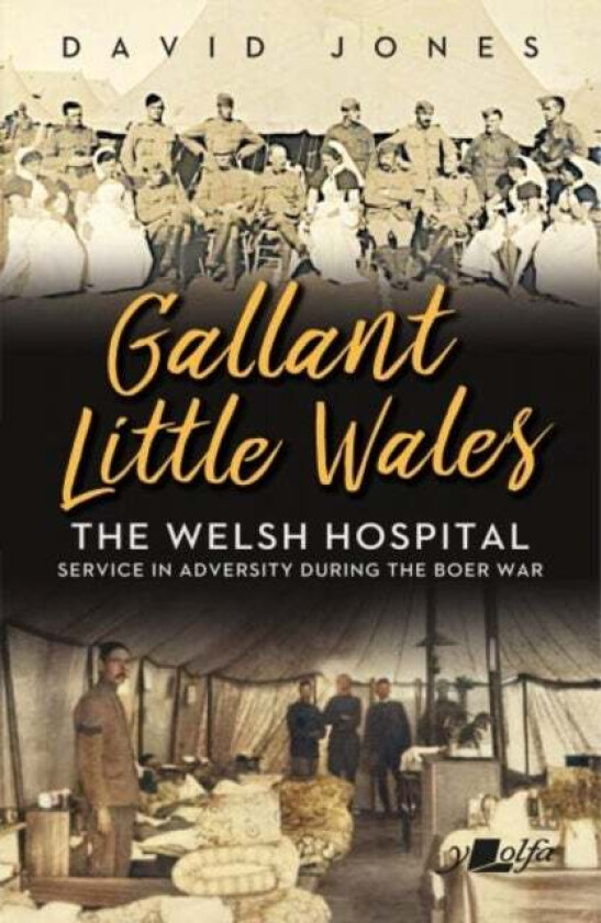 Gallant Little Wales av David Jones