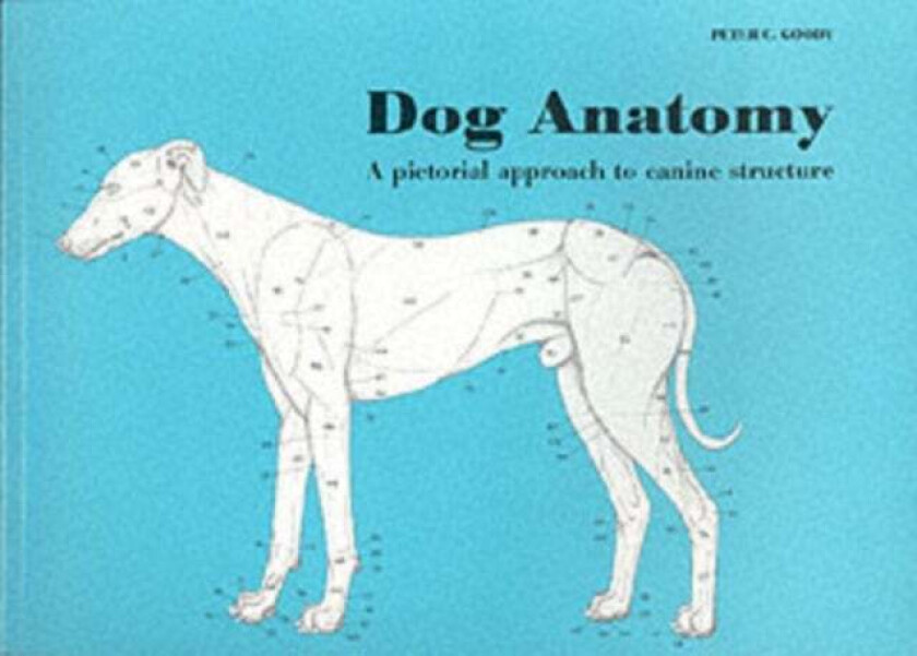 Dog Anatomy av Peter Goody