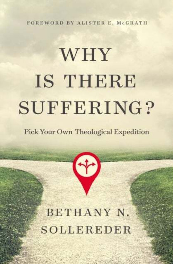 Why Is There Suffering? av Bethany N. Sollereder