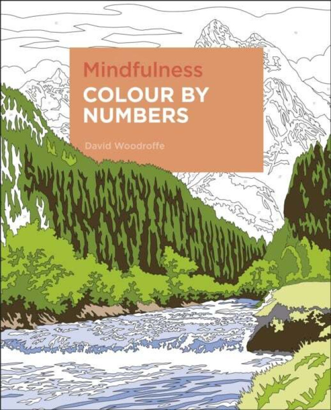 Mindfulness Colour by Numbers av David Woodroffe