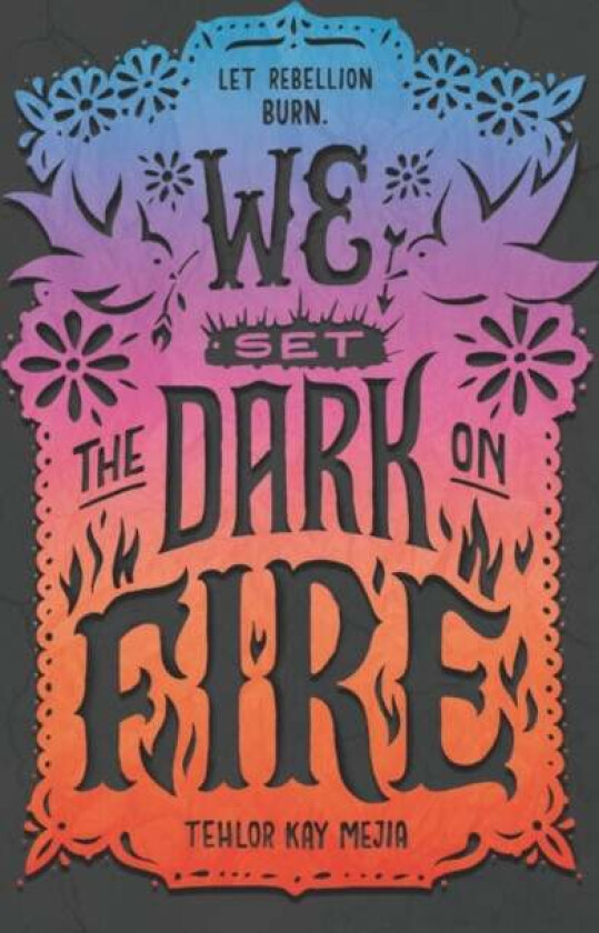 We Set the Dark on Fire av Tehlor Kay Mejia