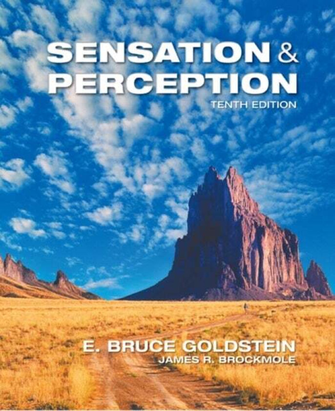 Sensation and Perception av E. (University of Pittsburgh and University of Arizona) Goldstein, James (Notre Dame University) Brockmole