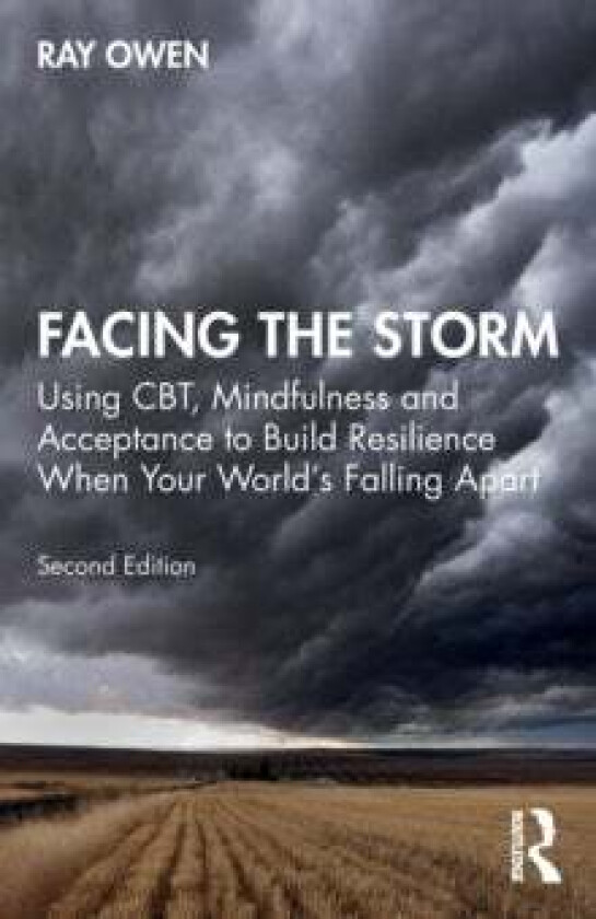 Facing the Storm av Ray (Herefordshire NHS Primary Care Trust UK) Owen