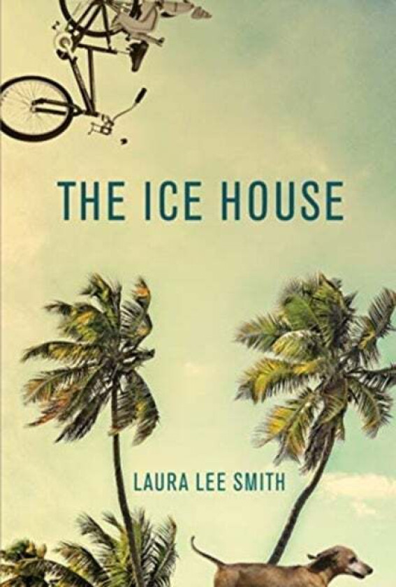 The Ice House av Laura Lee Smith