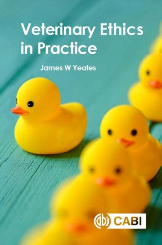 Veterinary Ethics in Practice av Dr James W (Cats Protection UK) Yeates