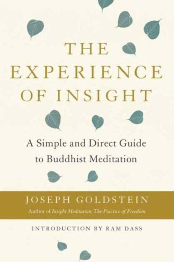 The Experience of Insight av Joseph Goldstein
