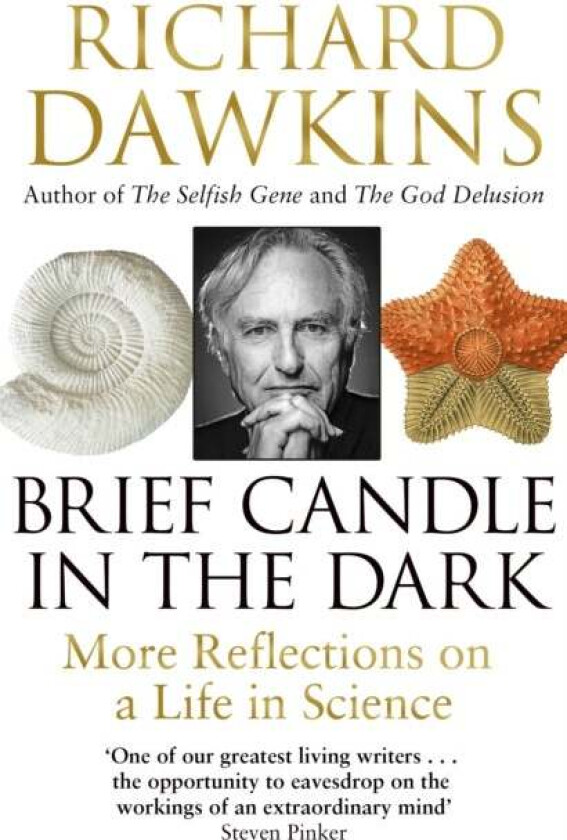 Brief Candle in the Dark av Richard (Oxford University) Dawkins