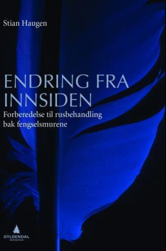 Endring fra innsiden av Stian Haugen