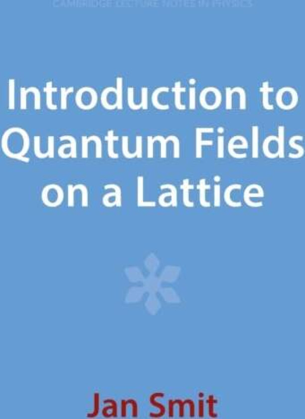 Introduction to Quantum Fields on a Lattice av Jan (Universiteit van Amsterdam) Smit