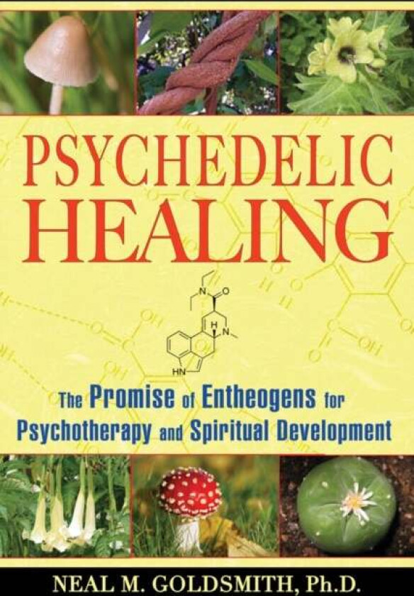 Psychedelic Healing av Neal M. Goldsmith