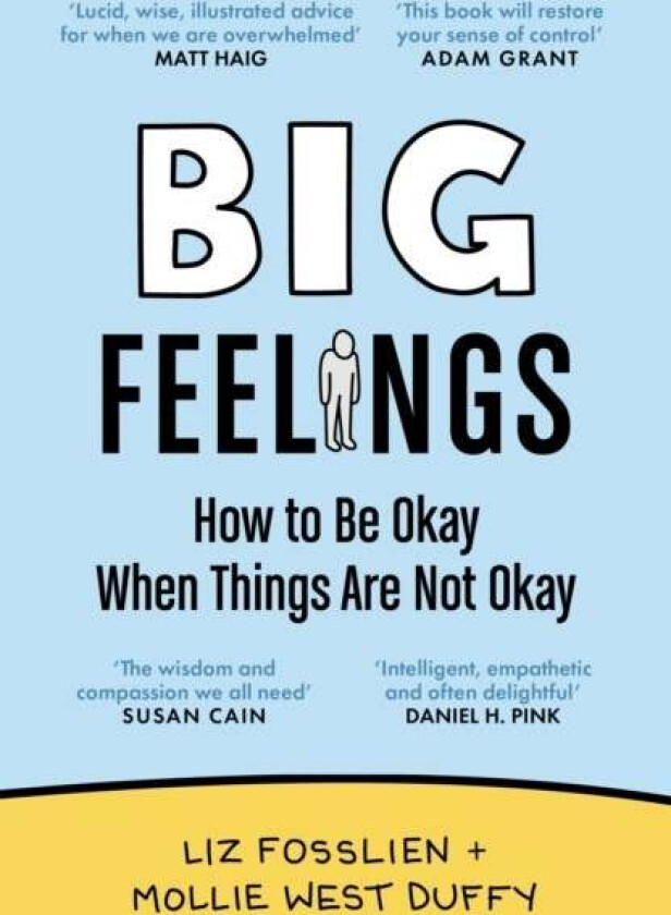 Big Feelings av Liz Fosslien, Mollie West Duffy