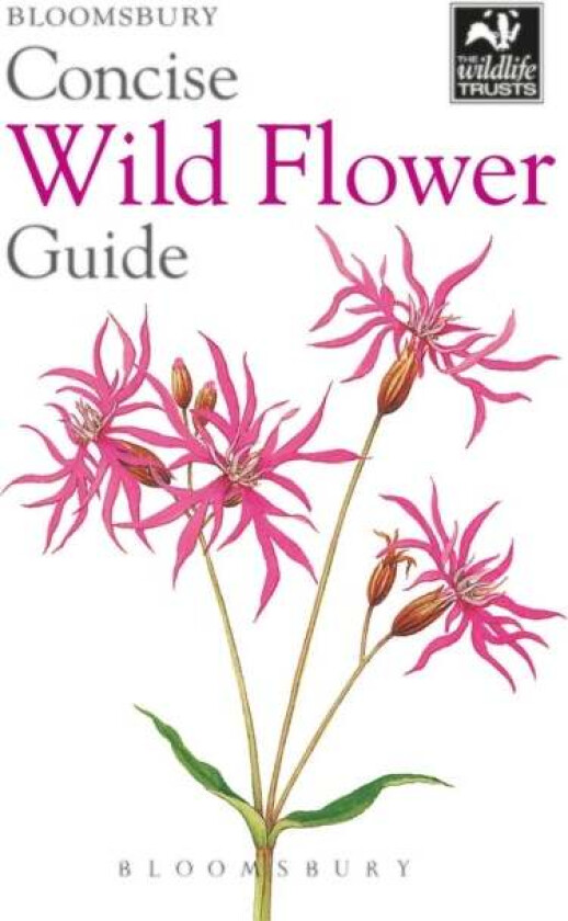 Concise Wild Flower Guide av Bloomsbury