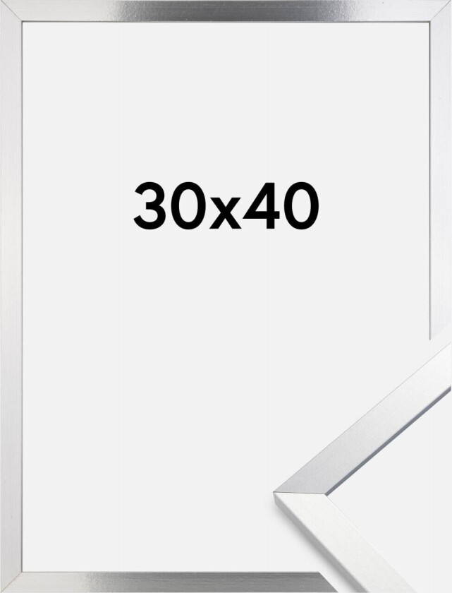 Ramme Trendy Sølv 30x40 Cm
