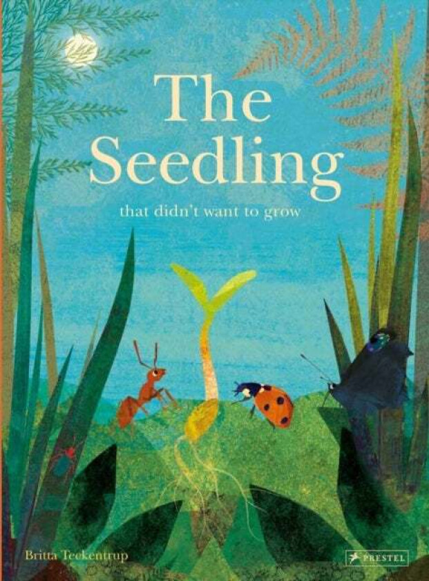 The Seedling That Didn't Want to Grow av Britta Teckentrup