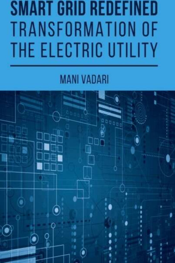 Smart Grid Redefined av Subramanian Vadari