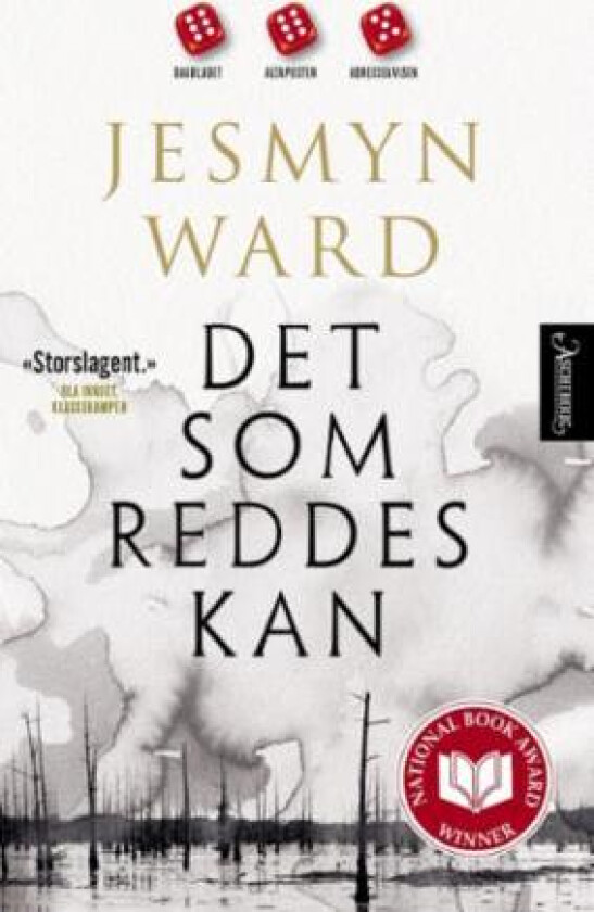 Det som reddes kan av Jesmyn Ward