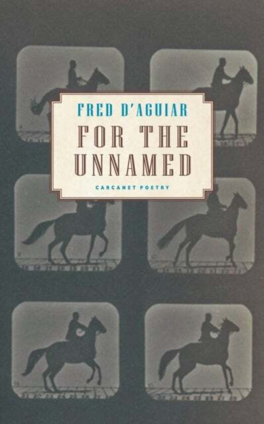 For the Unnamed av Fred D'Aguiar