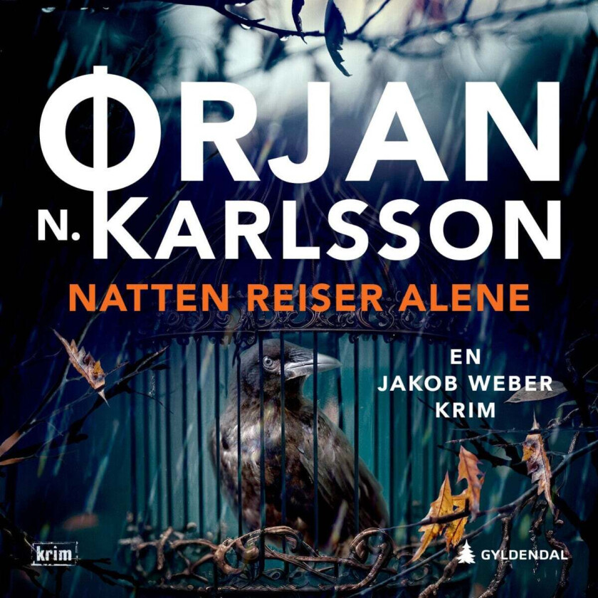 Natten reiser alene av Ørjan N. Karlsson