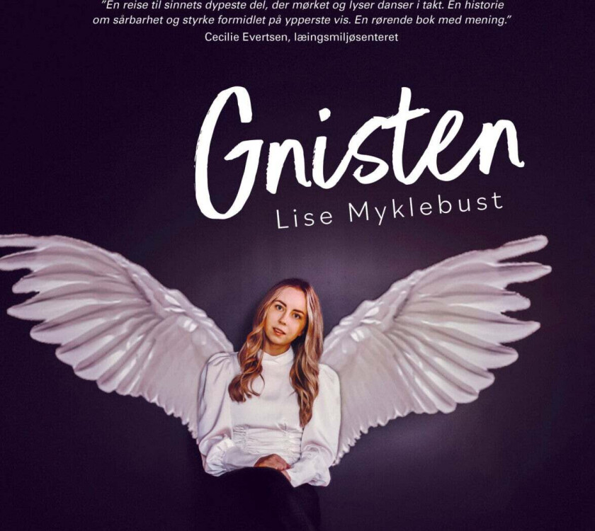 Gnisten av Lise Myklebust