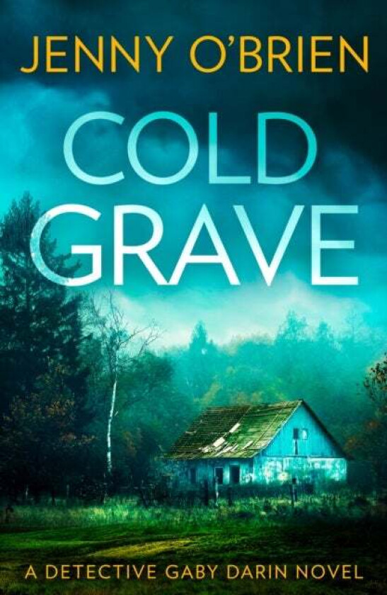 Cold Grave av Jenny O'Brien