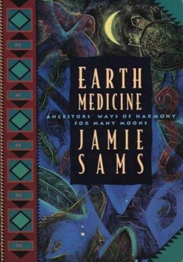 Earth Medicine av Jamie Sams