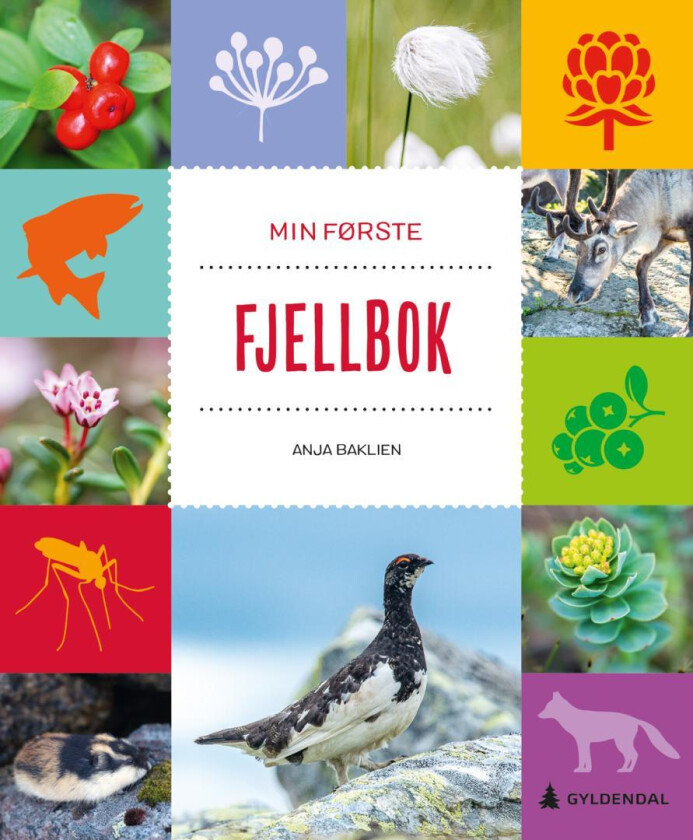 Min første fjellbok av Anja Baklien