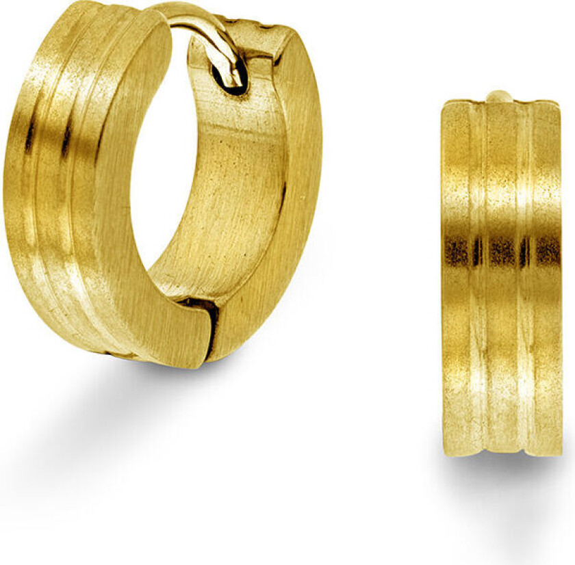 , Øreringer i forgylt stål