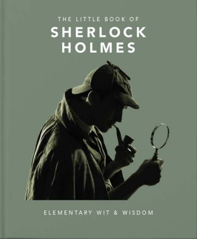 The Little Book of Sherlock Holmes av Orange Hippo!
