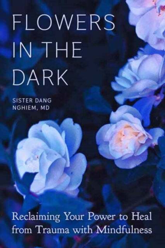 Flowers in the Dark av Sister Dang Nghiem