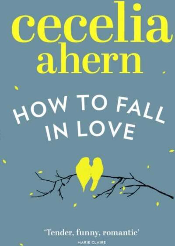 How to Fall in Love av Cecelia Ahern