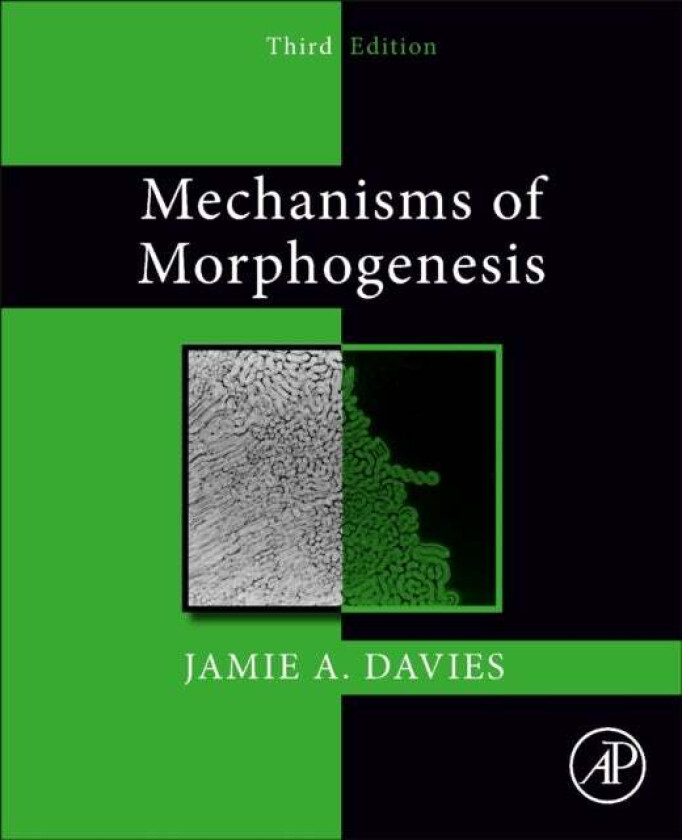 Mechanisms of Morphogenesis av Jamie A. (University of Edinburgh UK) Davies