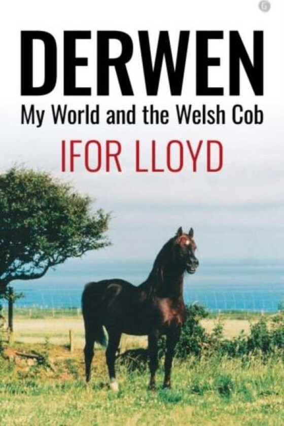 Derwen - My World and the Welsh Cob av Ifor Lloyd