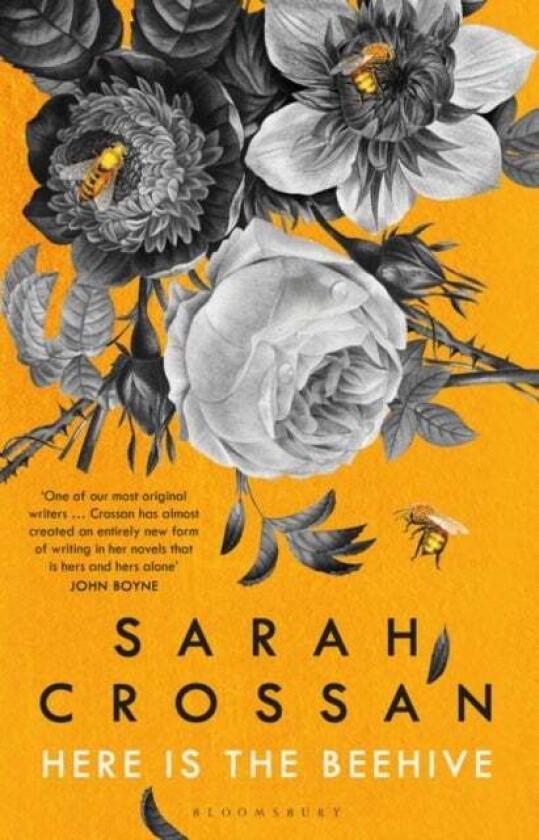 Here is the Beehive av Sarah Crossan