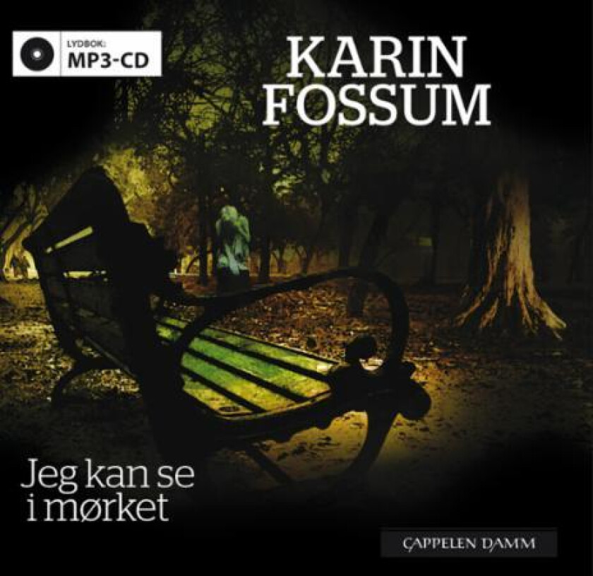 Jeg kan se i mørket av Karin Fossum