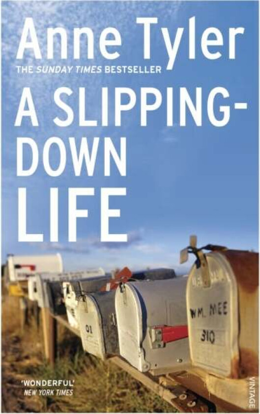 A Slipping Down Life av Anne Tyler