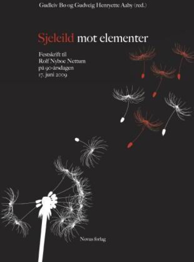 Sjeleild mot elementer