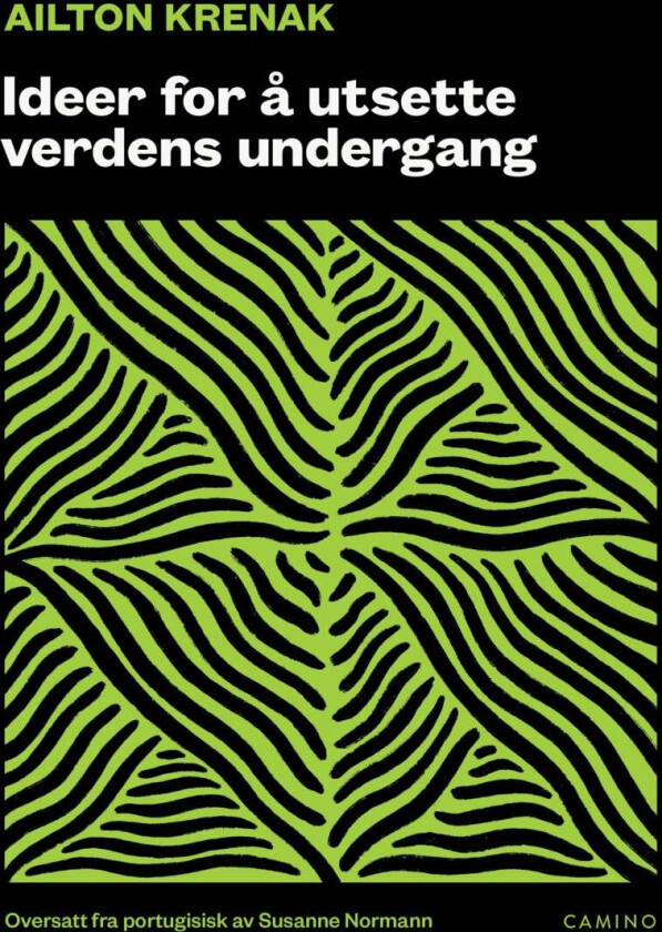 Ideer for å utsette verdens undergang av Ailton Krenak