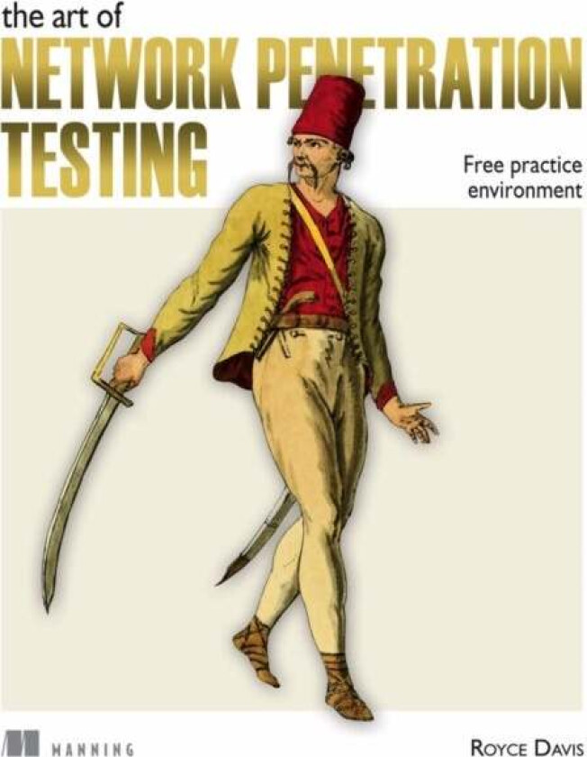 Art of Network Penetration Testing, The av Royce Davis