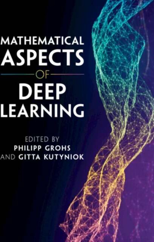Mathematical Aspects of Deep Learning