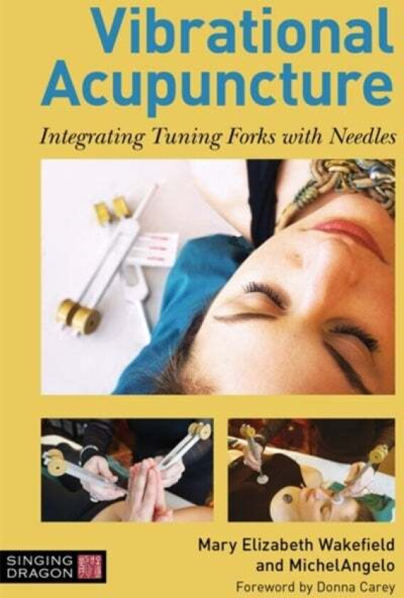 Vibrational Acupuncture av Mary Elizabeth Wakefield, Michelangelo