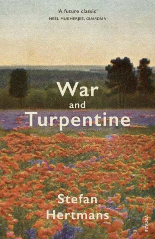 War and Turpentine av Stefan Hertmans
