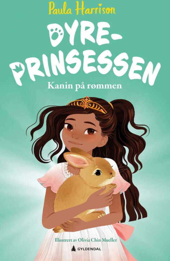 Kanin på rømmen av Paula Harrison