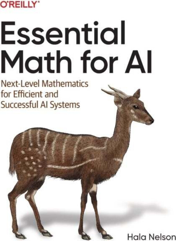 Essential Math for AI av Hala Nelson