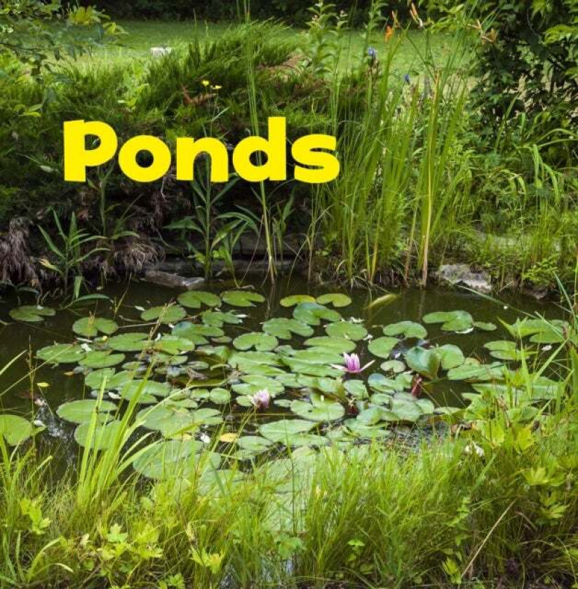 Ponds av Erika L. (Digital Editor) Shores