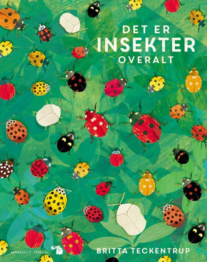 Det er insekter overalt av Lily Murray