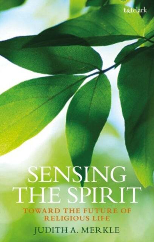 Sensing the Spirit av Professor Judith A. Merkle (Niagara University USA) SNDdeN
