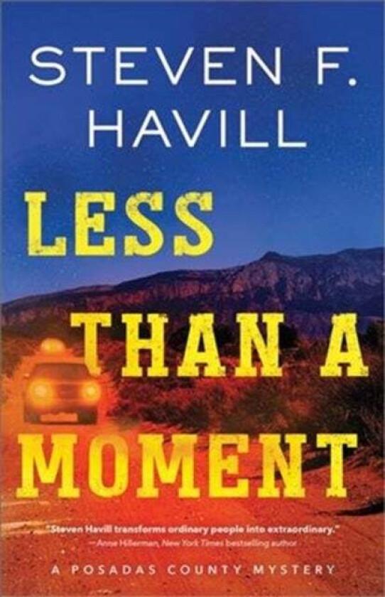 Less Than a Moment av Steven F. Havill