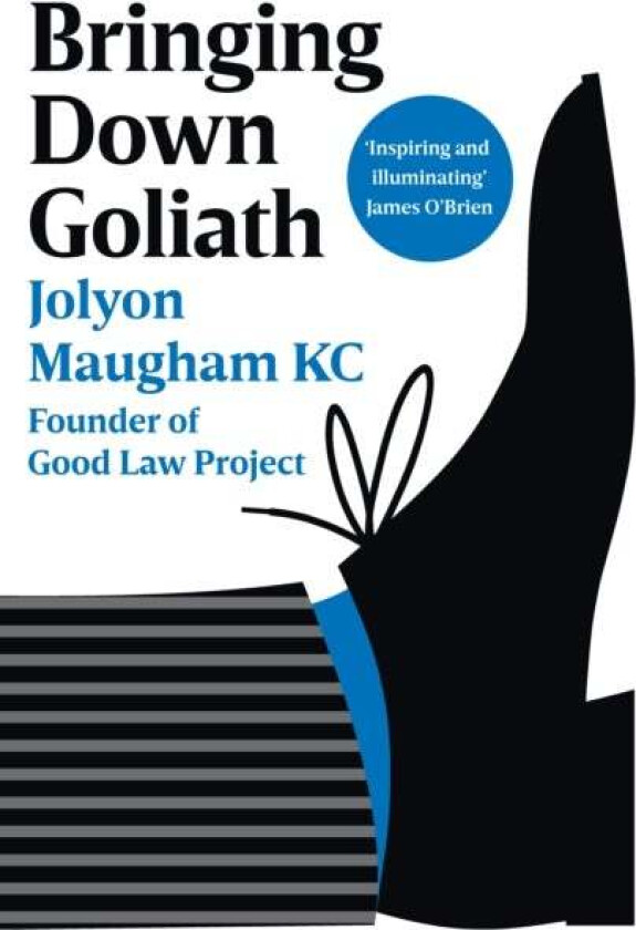 Bringing Down Goliath av Jolyon Maugham