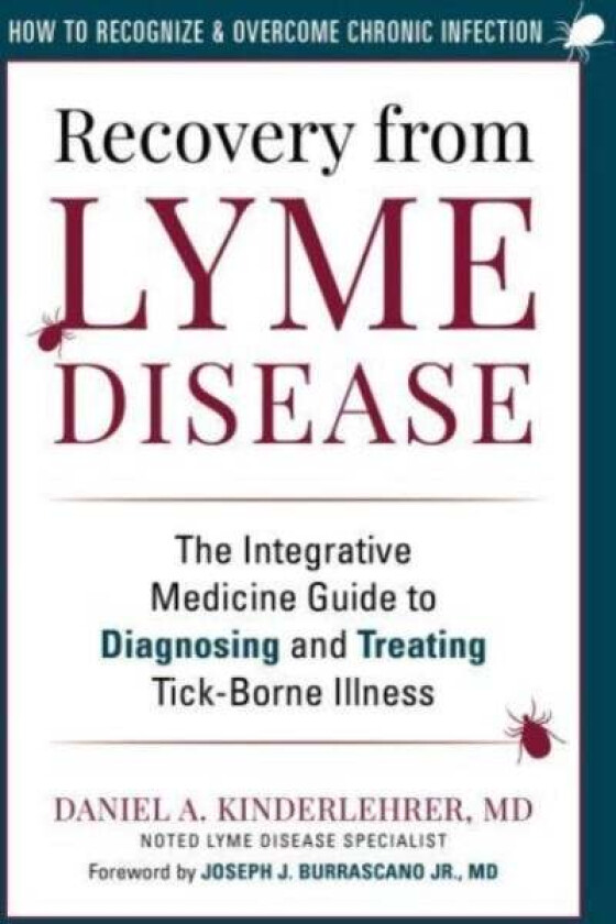 Recovery from Lyme Disease av Daniel A. MD Kinderlehrer