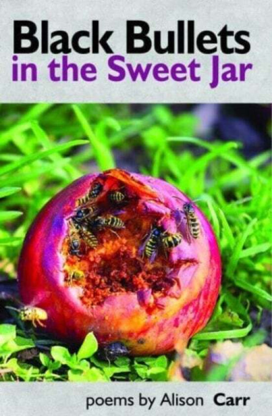 Black Bullets in the Sweet Jar av Alison Carr